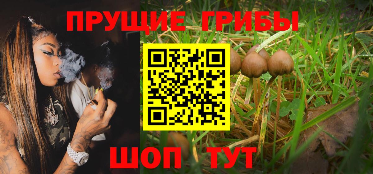 Псилоцибиновые грибы Magic Shrooms  Вход с VPN  Ейск 