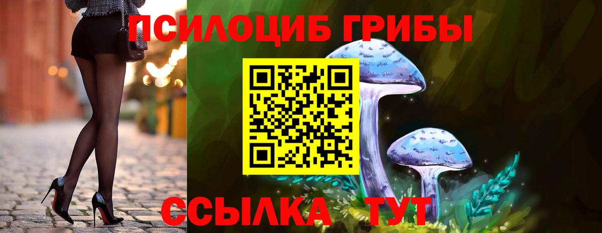 Псилоцибиновые грибы Psilocybine cubensis Ейск
